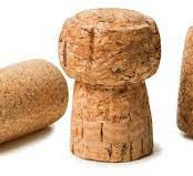 Abbiamo raccolto due tonnellate di tappi